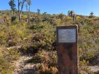 Eagle’s Eye Ellis Brook Valley 😎 Perth, WA