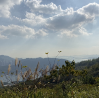 元荃古道 — 從荃灣到深井，欣賞沿途美景