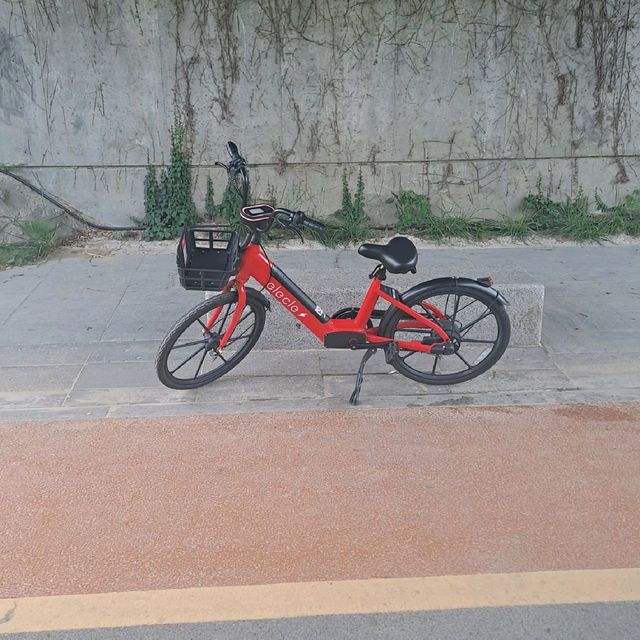 서울 근교 김포에서 베니스를 느껴요