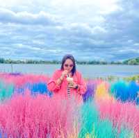 Memories House Cafe : Outdoor Zone
