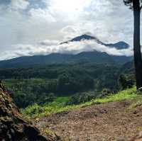 KABAYAN HILLS - BOGOR