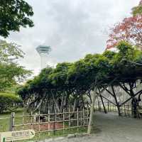 旧函館の拠点！ 函館奉行所(五稜郭公園)