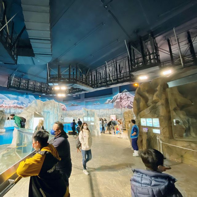 北極之旅