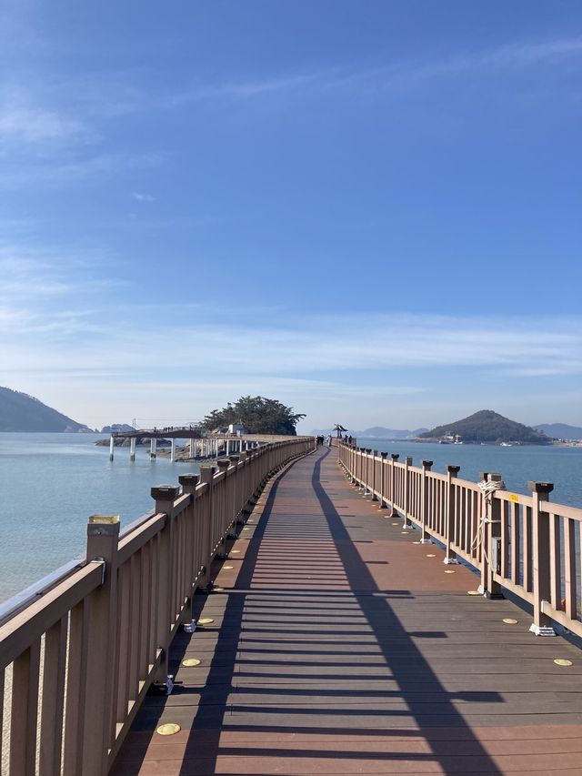아이와 함께 타면 좋을 오션뷰 바이크드라이브