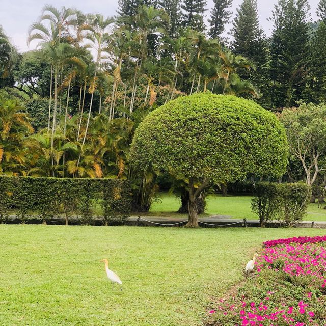 大公主在此👸🏻士林官邸💯不再錯過的美麗花園🌹🌷💐🌺🌸🌼🌻