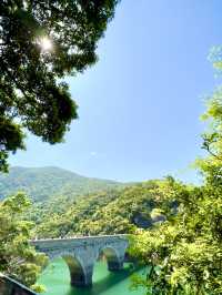 大潭水塘行到鰂魚涌