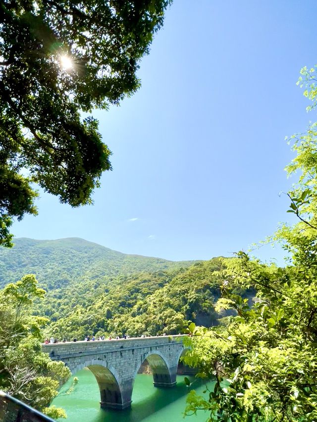 大潭水塘行到鰂魚涌