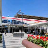 【兵庫県 明石市】季節の花咲く明石駅🌸🌸🌸
