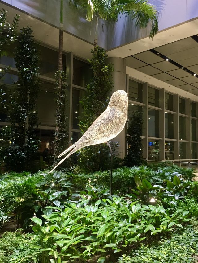 Airport: Picturesque