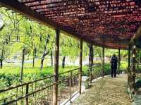 荔枝角公園