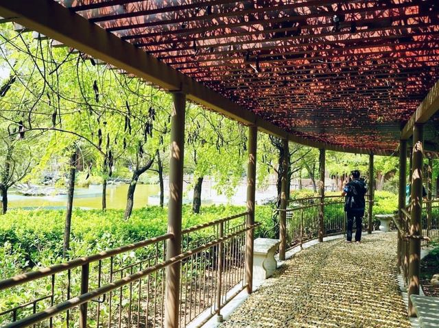 荔枝角公園