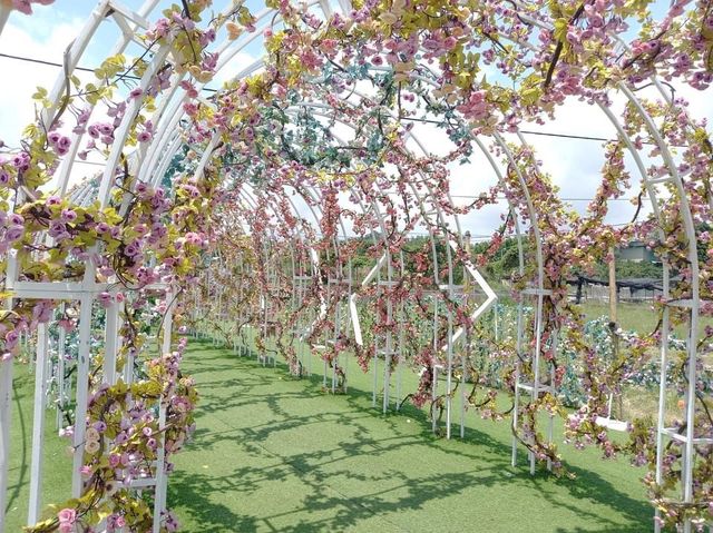 信芯園甜蜜打卡位