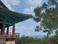 [경주] 금장대, SNS 경주 핫플 나룻배 포토존