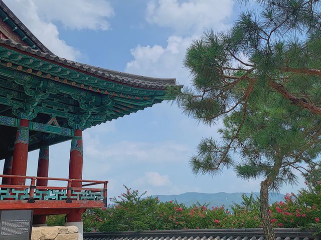 [경주] 금장대, SNS 경주 핫플 나룻배 포토존