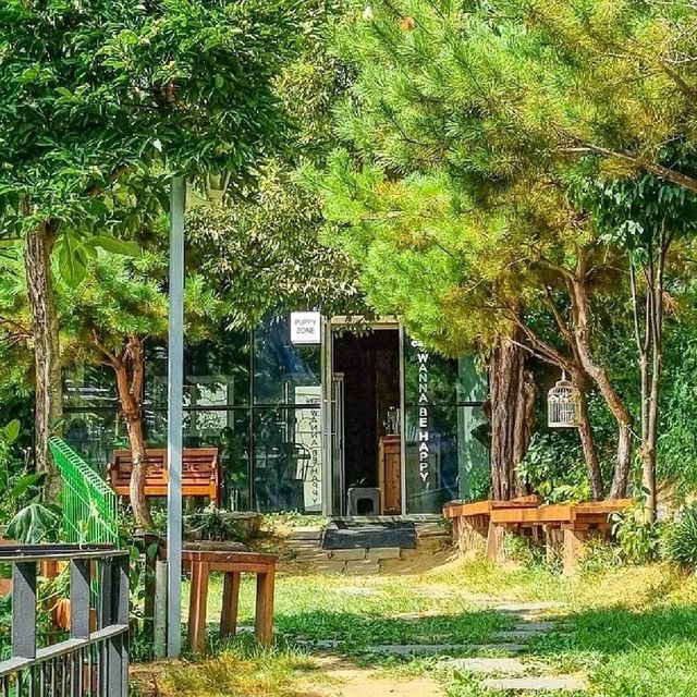 힐링뷰🌿를 자랑하는 애견동반카페