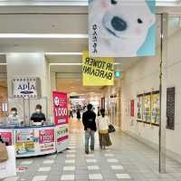 札幌ステラプレイス