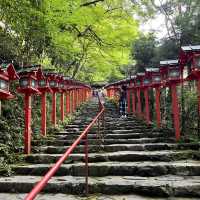 【京都】夏の涼を求めて訪れたい場所