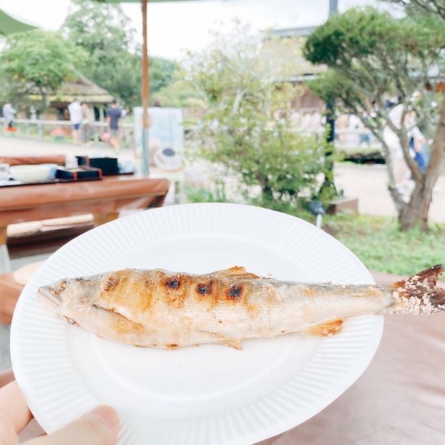 水の透明度、綺麗なブルー