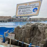世界最大級野外水槽、日本一広い水族館