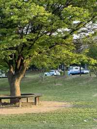 < 서울 여행 > 여의도 한강 공원 피크닉 나들이 🏕️