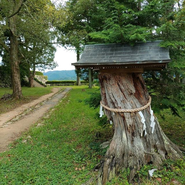 兵庫県！丹波篠山にある篠山城