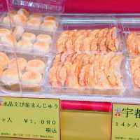 【日本 三重】近鉄四日市駅🚄 華麗鐵路便當+宇都宮圓圓煎餃