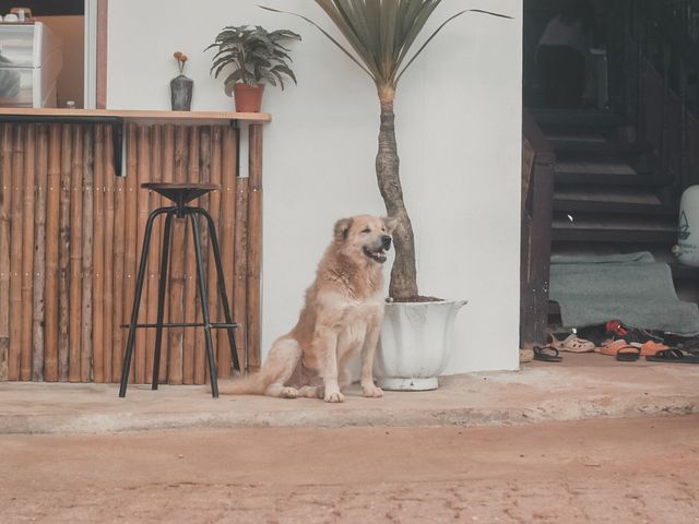 แซเพียวโฮม ร้านเล็กๆในหมู่บ้านกลางหุบเขา