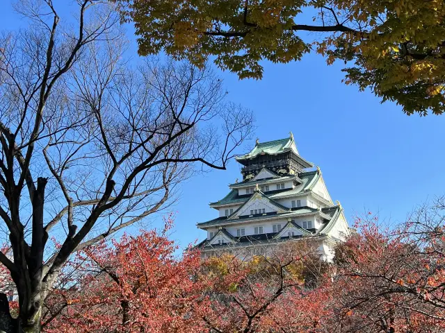 日本大阪城｜大阪必去景點，西丸庭園可以拍到最佳的角度