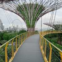 Gardens By The Bay - ป่าใหญ่ใจกลางเมือง