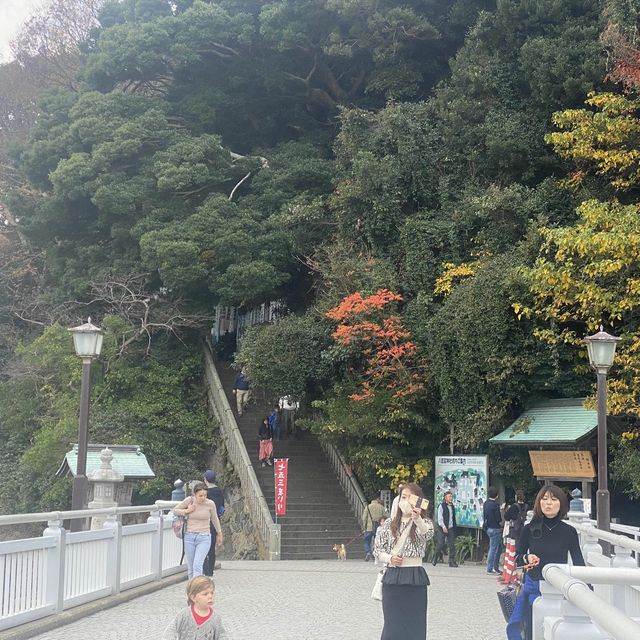 日本神秘小島 竹島