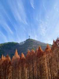 대전 단풍명소로 유명한 장태산🍁