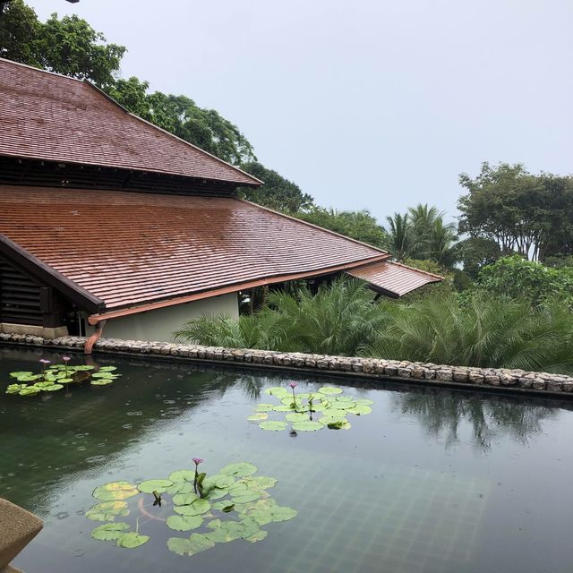 beautiful resort in a lush jungle 