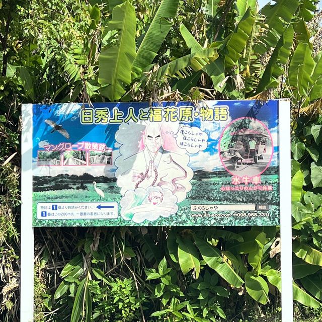 【沖縄・本島】本島でも楽しめるマングローブ林