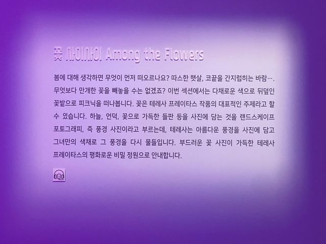 핑크 덕후라면 꼭 가봐야할 곳! 테레사 프레이타스 사진전