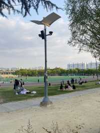 한국의 센트럴파크 🏝 전트럴파크 