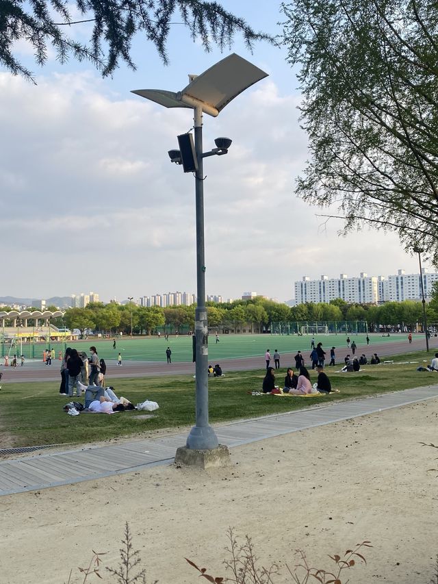 한국의 센트럴파크 🏝 전트럴파크 
