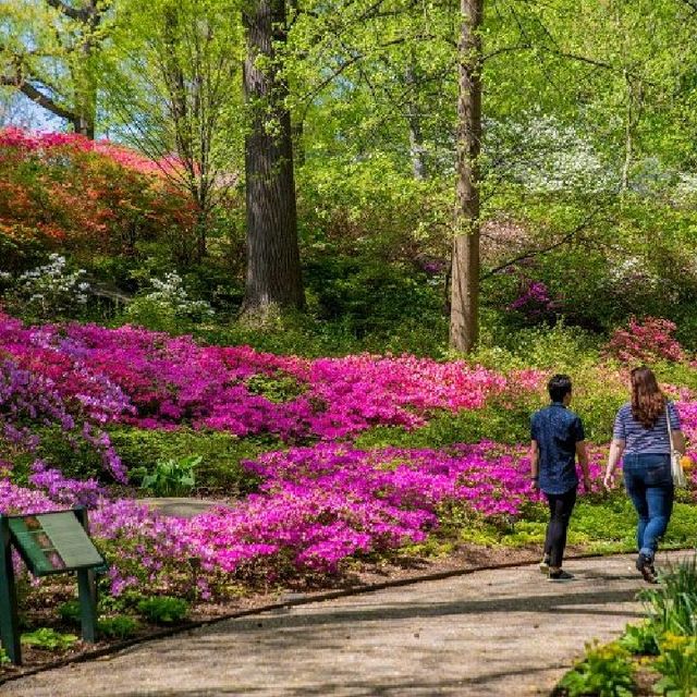 Botanical Garden at New York