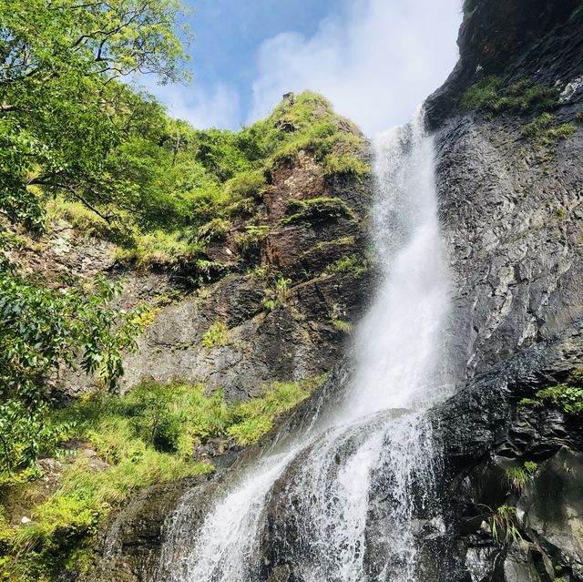 ㄧ日冒險王⛰阿里磅瀑布登山步道