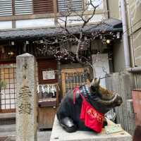 【京都】錦天満宮｜梅の花が咲いていました🌸