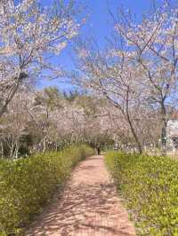 미니 제주🌸 짧은 제주 여행이라면 필수 코스!