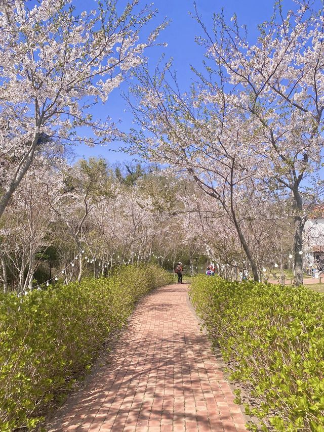 미니 제주🌸 짧은 제주 여행이라면 필수 코스!