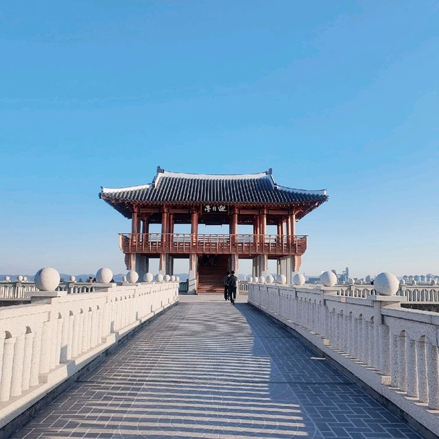 [포항] 갈매기와 셀카를 찍고 싶다면, 영일대