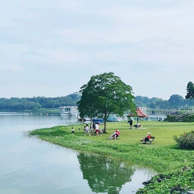 The Lone Tree @ Upper Seletar Reservoir Park 