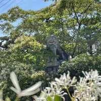 なんじゃもんじゃが満開の5月