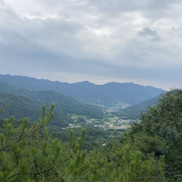 창녕 여행_우포늪, 관룡사
