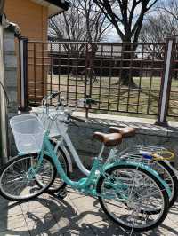 벚꽃과 함께하는 경주 자전거 여행🚲