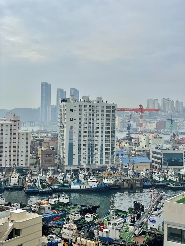 부산 호캉스 추천 🌊영도 오션뷰 ‘노스하버호텔’