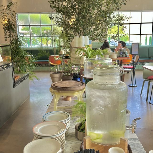 과천에 이런 카페가 있다고!?🌿