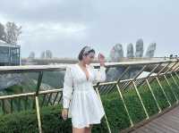 สะพานมือยักษ์ Golden Bridge 
