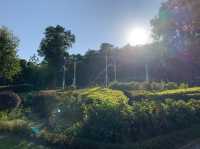 Recommended place to go for picnic before winter comes